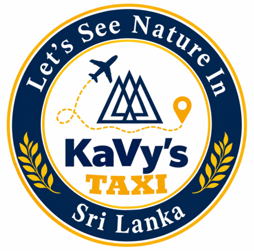 Private driver Sri Lanka, private car with driver Sri Lanka